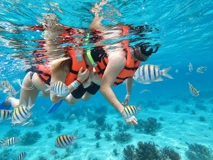 Two guests snorkeling among striped reef fish near the surface.